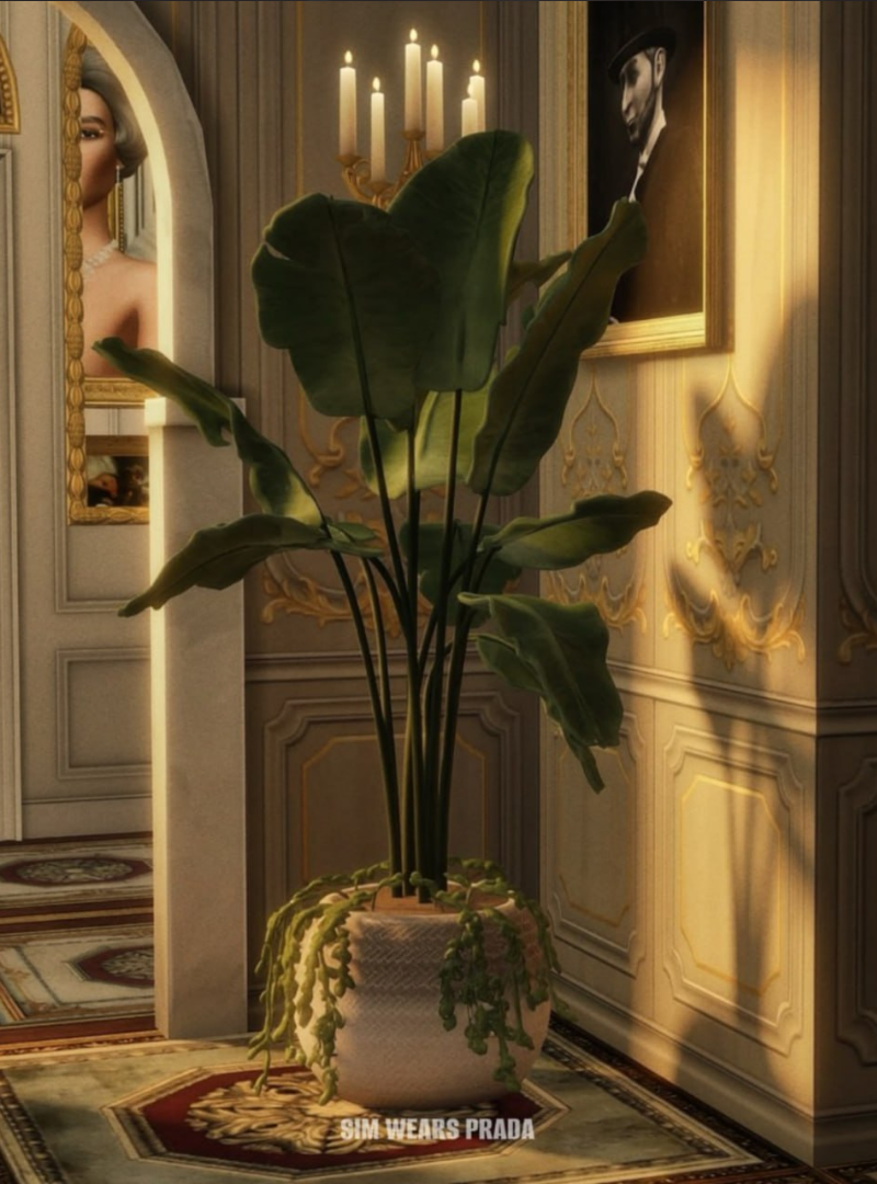 Картинка мода