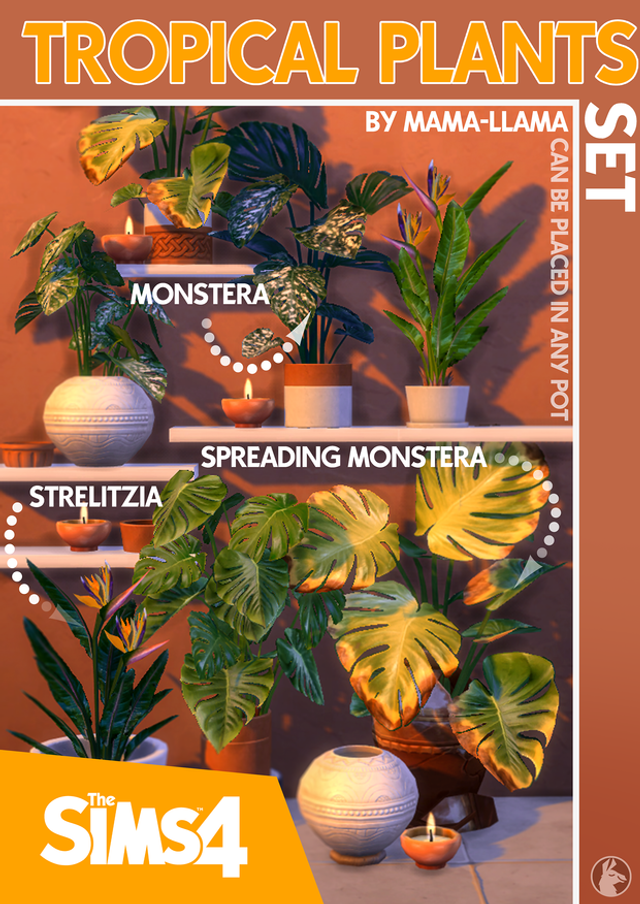 Картинка мода