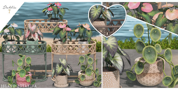 Картинка мода