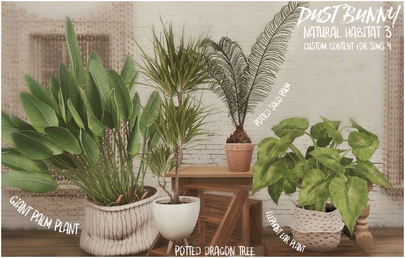 Картинка мода