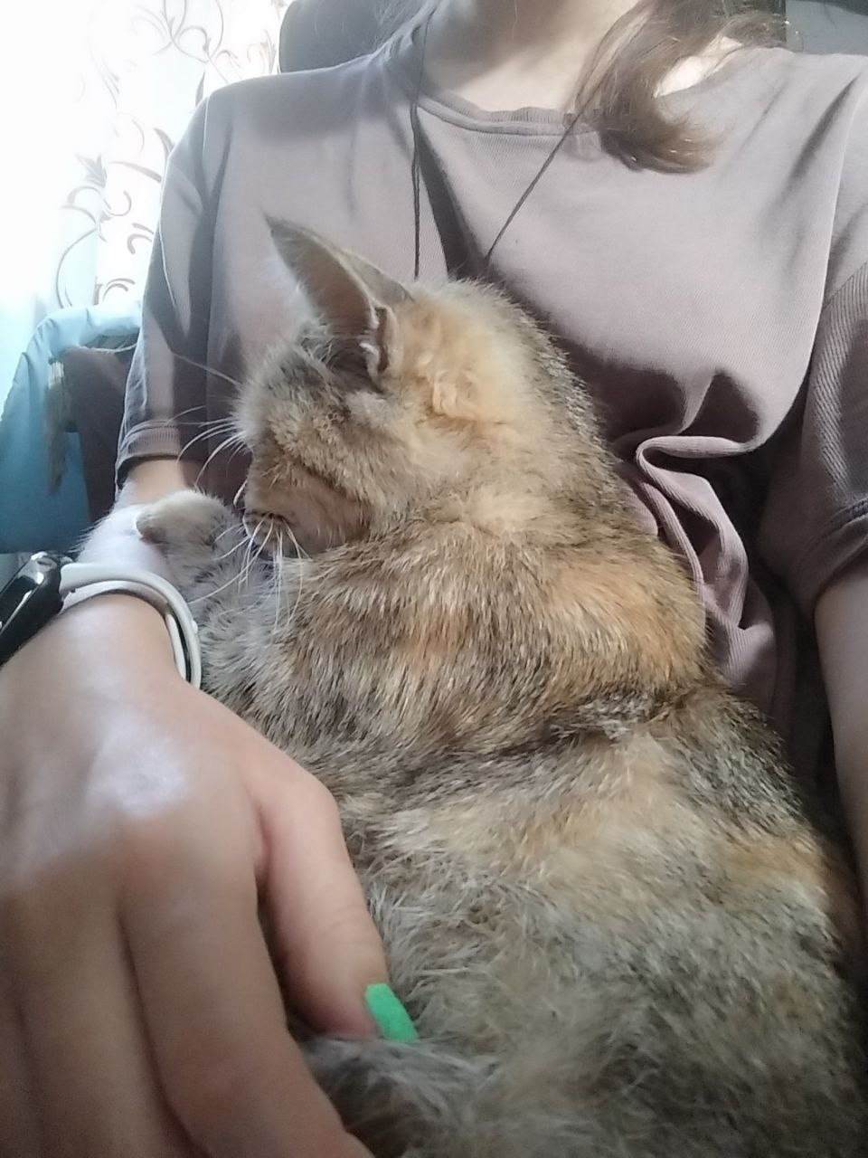 Пользователь