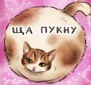 Пользователь