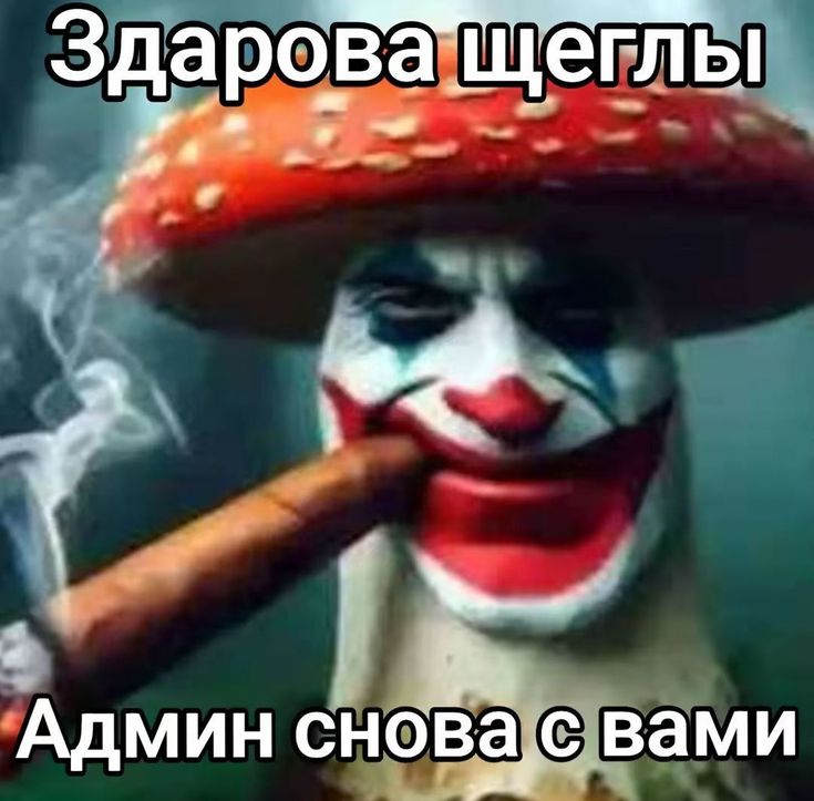 Пользователь
