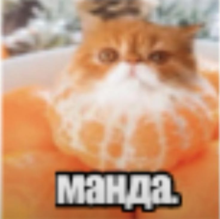 Пользователь