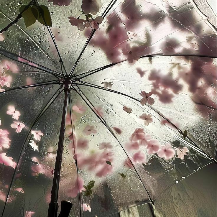 Пользователь