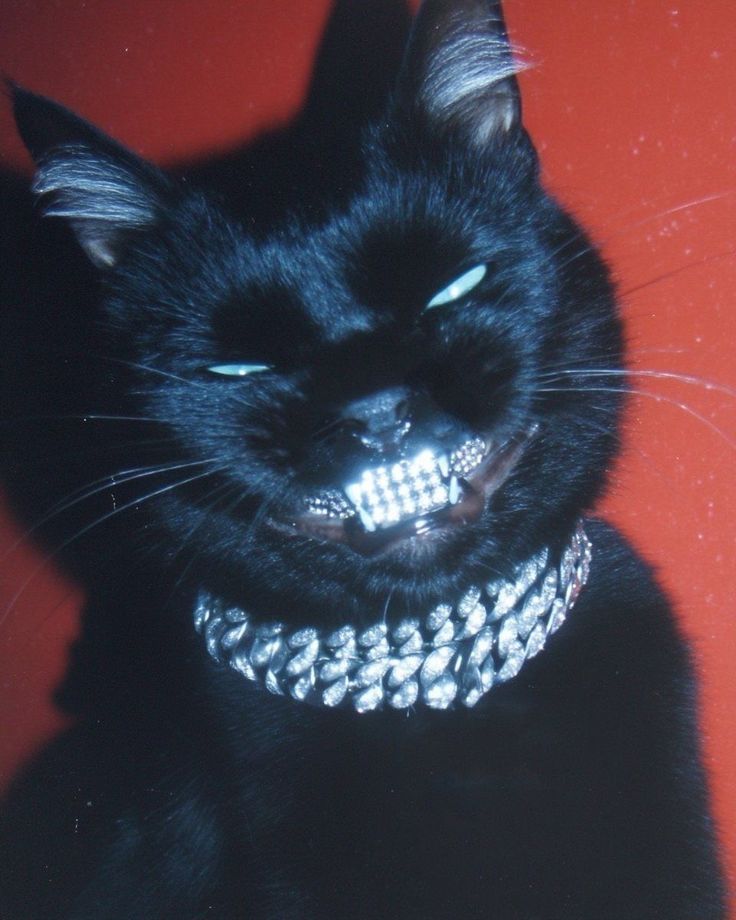 Пользователь