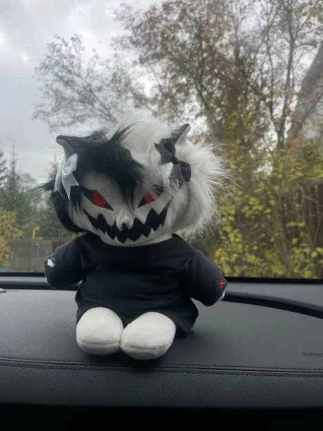 Пользователь