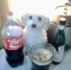 Пользователь