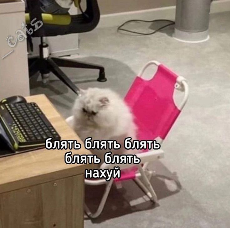 Пользователь