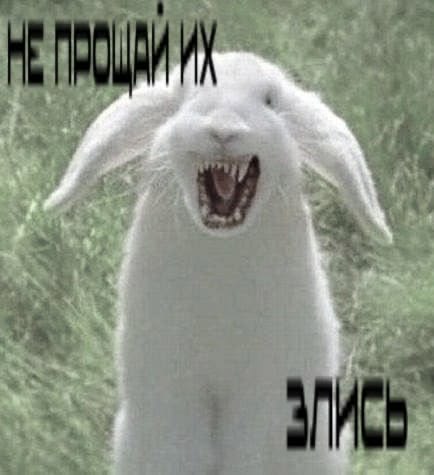 Пользователь