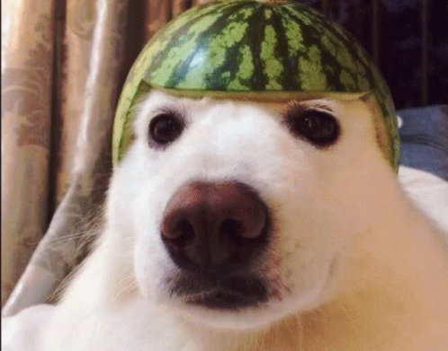 Пользователь