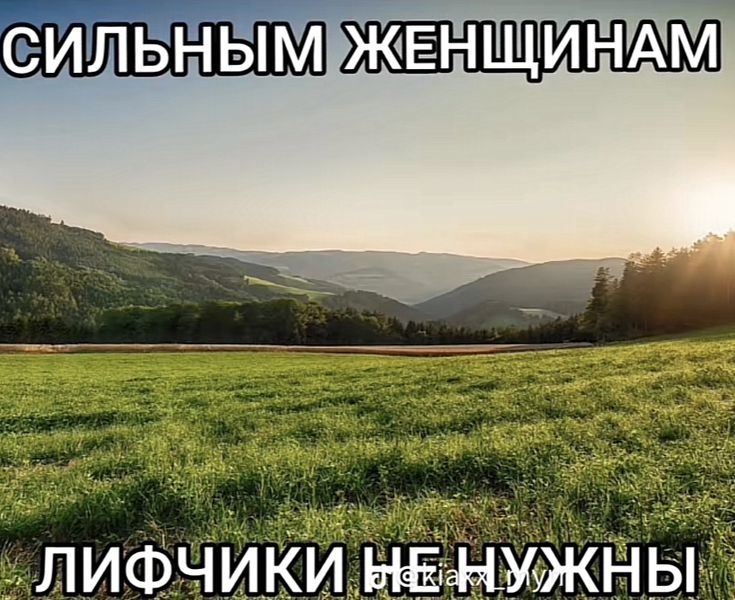 Пользователь