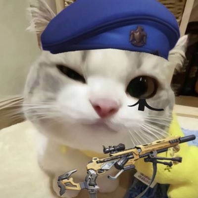 Пользователь