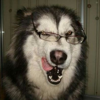 Пользователь