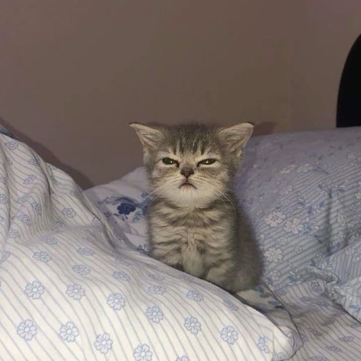 Пользователь