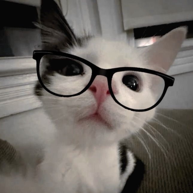 Пользователь