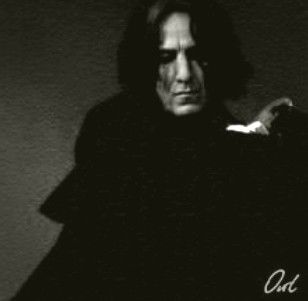 Пользователь