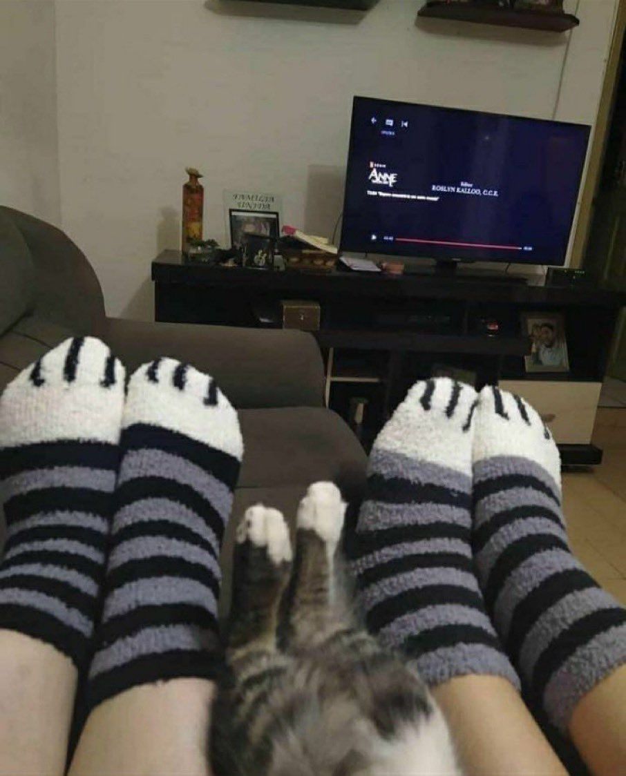 Пользователь