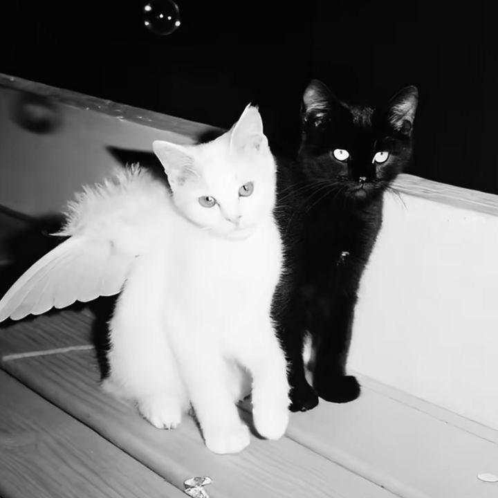 Пользователь