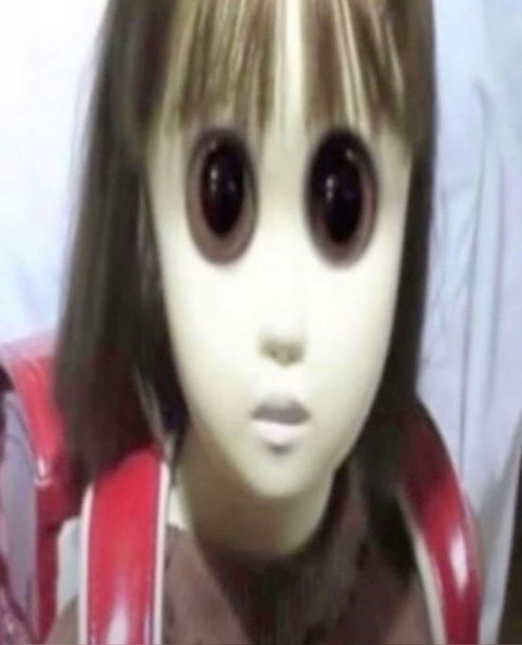 Пользователь