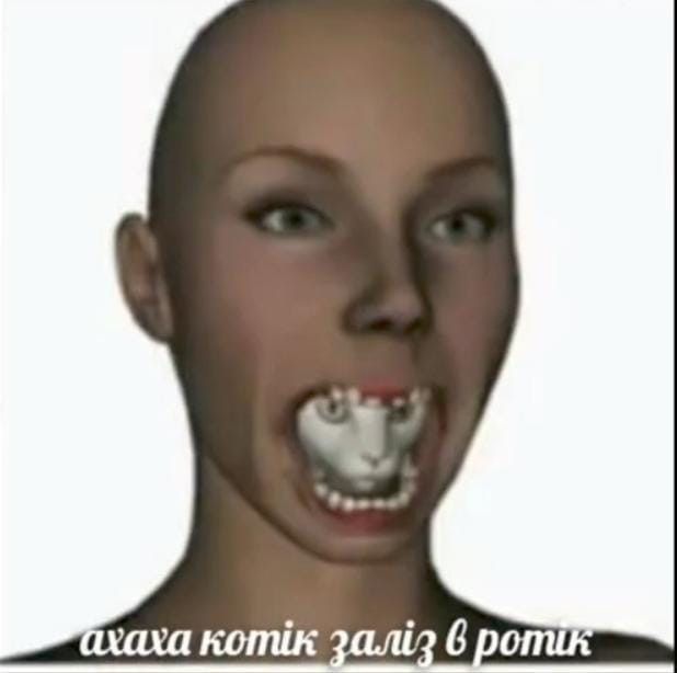 Пользователь