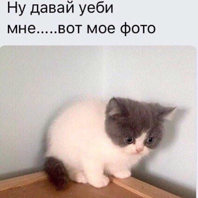 Пользователь