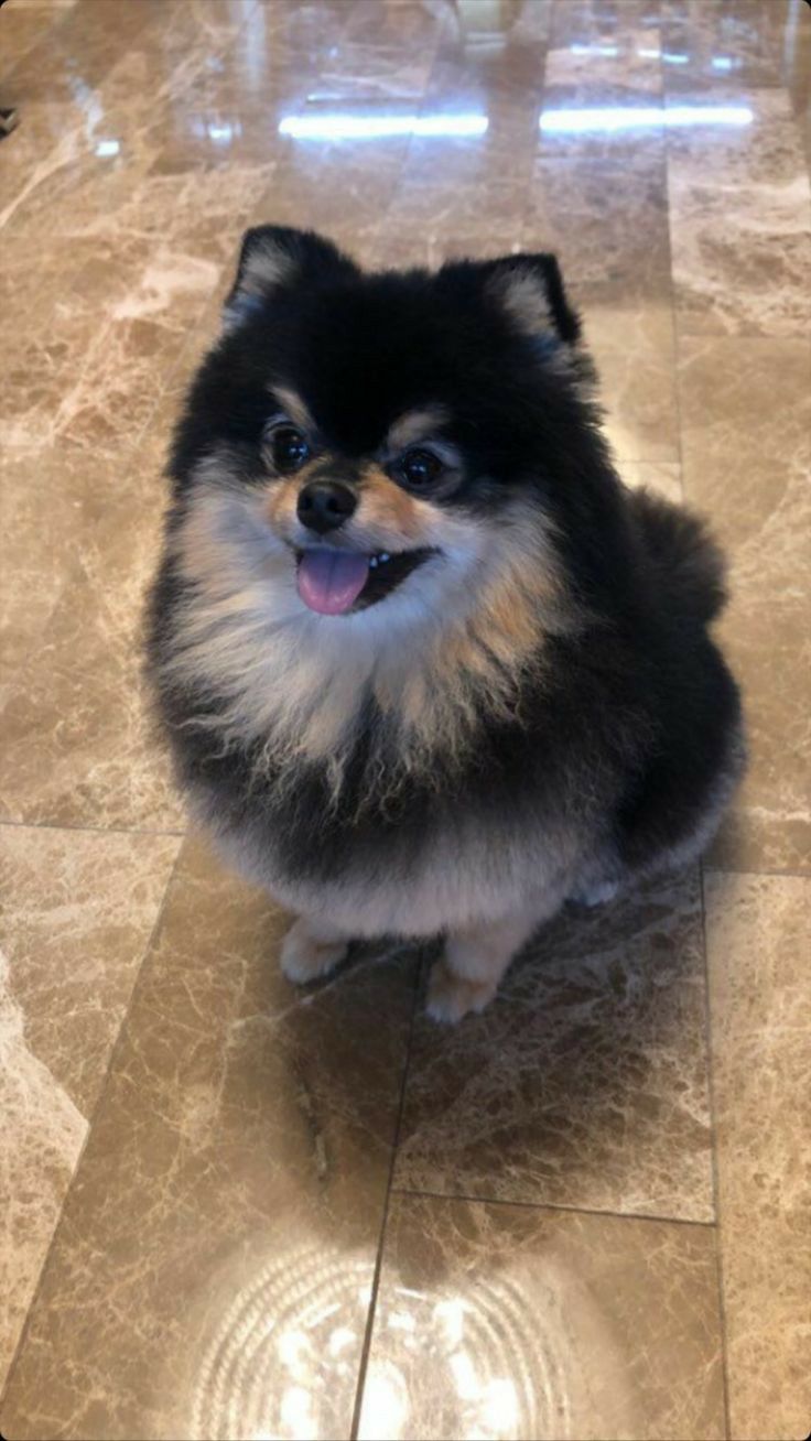 Пользователь