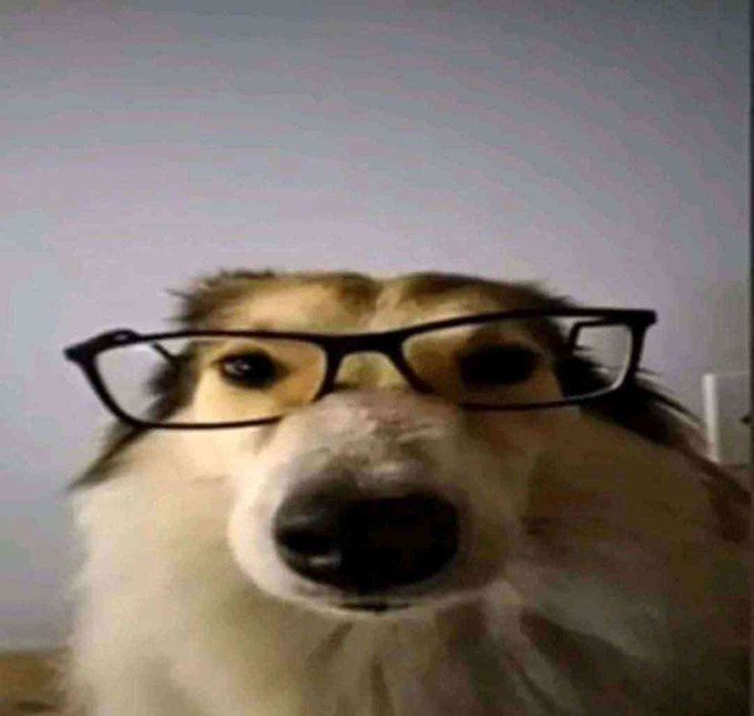 Пользователь