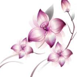 Пользователь