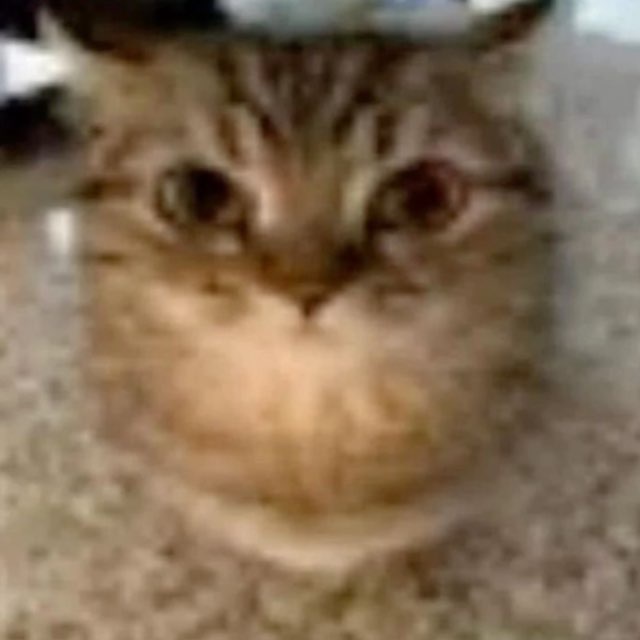 Пользователь