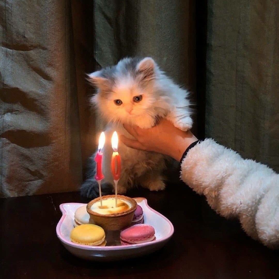 Пользователь