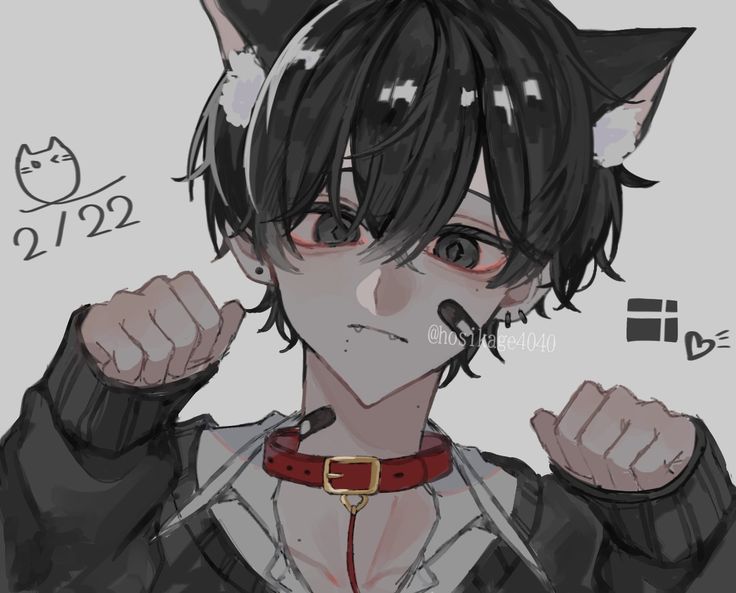 Пользователь