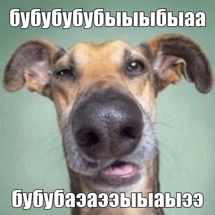 Пользователь