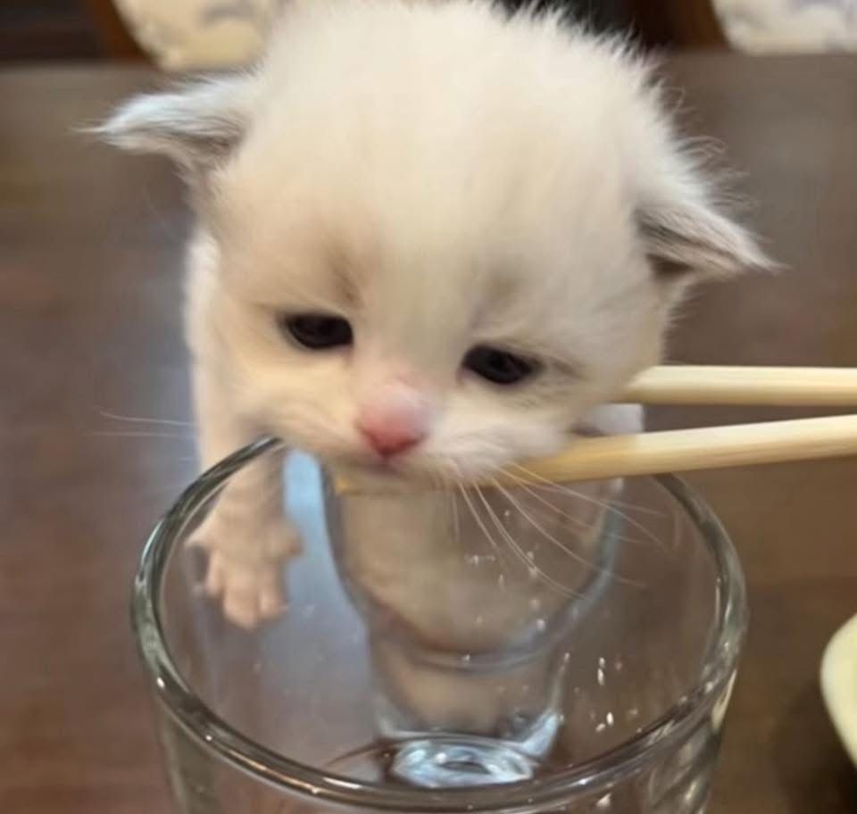 Пользователь