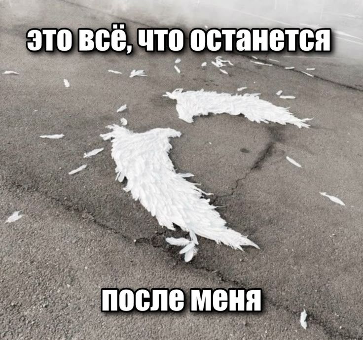 Пользователь