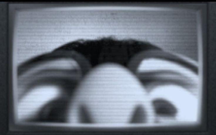 Пользователь