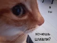 Пользователь