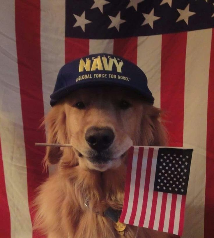 Пользователь