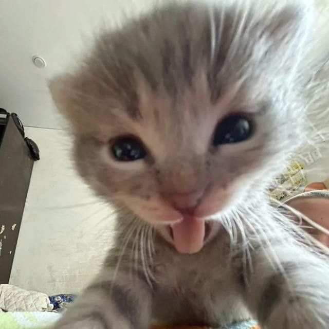 Пользователь